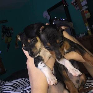 Meet your Posher, Gabby